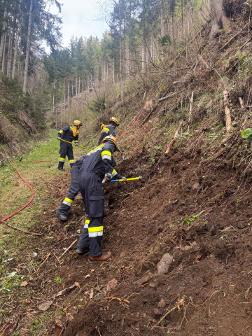 KHD Waldbrand Übung Breitenau 11.04.2026